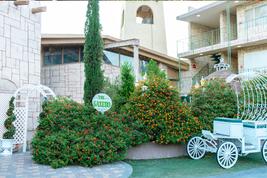 Vegas Outdoor Strip Chapel & Wedding Carriage